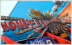 Disney World Epcot Attractions